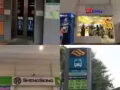 聯邦女床位出租