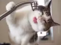 姐姐看这里
