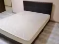 中国花园309夫妻房出租 600