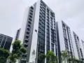 最新的单间卧室出租在Symphony Suites
