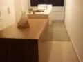 2+1 裕廊西大牌456 Jurong West Street 41