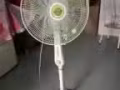 賤賣電風扇