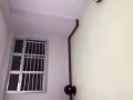 膀鹅普通房出租。