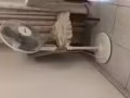 半价处理家具家电