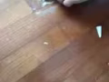 萬嘉裝飾