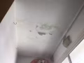 房屋各种漏水维修专家，木地板和大理石安装打磨抛光，室内外油漆，瓷砖铺贴