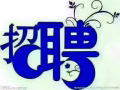 现在有8个自由位，按摩师，歌星，年轻眉妹等什么，不努力谁也给不了你想要的生活。有