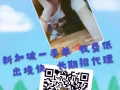 找工作换工作看这里 海量优质单子任你选  有意者加V 18844755789