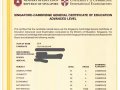 东部中学数学&科学上门补习