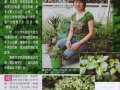 草药“苦粒心还我美肤”