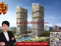 銀峰 - 新加坡烏節路永久地契
