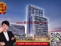 新加坡豪宅 - 華利世家