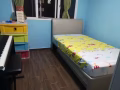 武吉巴督450