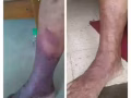 招兵买马