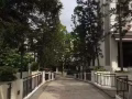 丹拉美娜公寓普通房单间女生合租