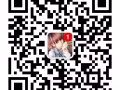 工作单子汇总 有人可以找我咨询 微信a18243559530