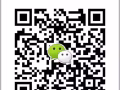 華文老師廚師美容按摩師廚師司機普工費用1.8萬以內招代理QQ285485483