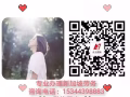 新加坡本土一手好单诚聘司机！海量好单免费咨询！微信电话同步15344398883