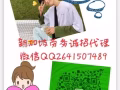 资质公司 每天新单不断 只要您信任我，我还您满意！详询微信：2641507489