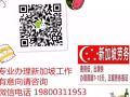 新加坡一手工作单 欢迎前来咨询 电话微信 19800311953