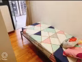 波东巴西 地铁旁 性价比超高的公寓单间，有游泳池和健身房！！！