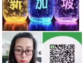 新加坡一手中介，办理越南人到新加坡工作，微信2727966526