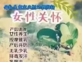 上門產後修復無痛催乳