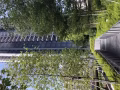 布萊德地鐵站口 全新公寓房間出租 Gem residences