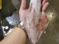 吉祥莲心食品 --- 新鲜海产 平 ，靓 ， 正 ， 新鲜
