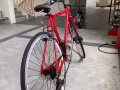 达曼裕廊有公路赛碳钢车架禧玛诺变速器