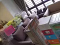 正在寻找搬家团队吗？请联系97959967了解更多详细