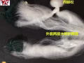 出售全新三层丝挂、飞盘撒网