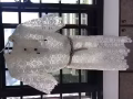 時尚蕾絲短裙和UR短袖