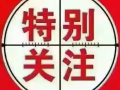 今日推荐特价的重点订单   可随时咨询 全天在线 ！3123589983