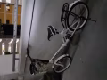 自行车