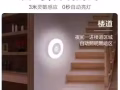 小冰箱，按摩机，感应灯，炸蒜头机，炒菜锅，扫地机