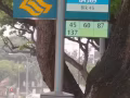 马来西亚华裔，男搭房