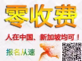 好消息 期盼已久的零收費單子來啦 找工作加我微信xu1214949664