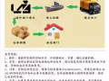 中國海運至新加坡，就選《廣州滄海國際物流》您的海運專家！