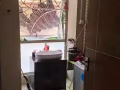 實龍崗地鐵站五分鐘洋房主人房高級90