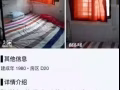 主人房大牌163  出租