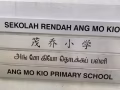 AEIS英语、GEP英语、小学及中学普通英语、成人口语及语法、小学至JC华文等。
