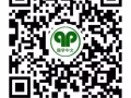 專業教師中小學及成人華文課程