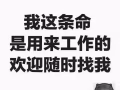 新加坡本地中介，工种全，收费低，办理快 微信：319504657