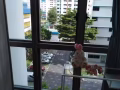 促銷減價 無中介費！！！阿裕尼正地鐵口TR 精緻普通房 便宜出租啦，適合年輕人