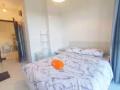 一室一厅，整套出租，花拉公园地铁附近，大客厅，开放式厨房，两卫生间，带阳台