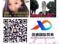 薪水高 费用低 入境快 售后有保障xd1172019