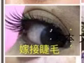 淡滨尼招合作伙伴或美容房间出租$1000