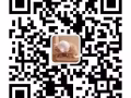 1800+业绩提成10%（4000以上），店达标有奖金$500  wp美发师 