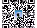 资质公司，一手订单，高薪订单无技术要求